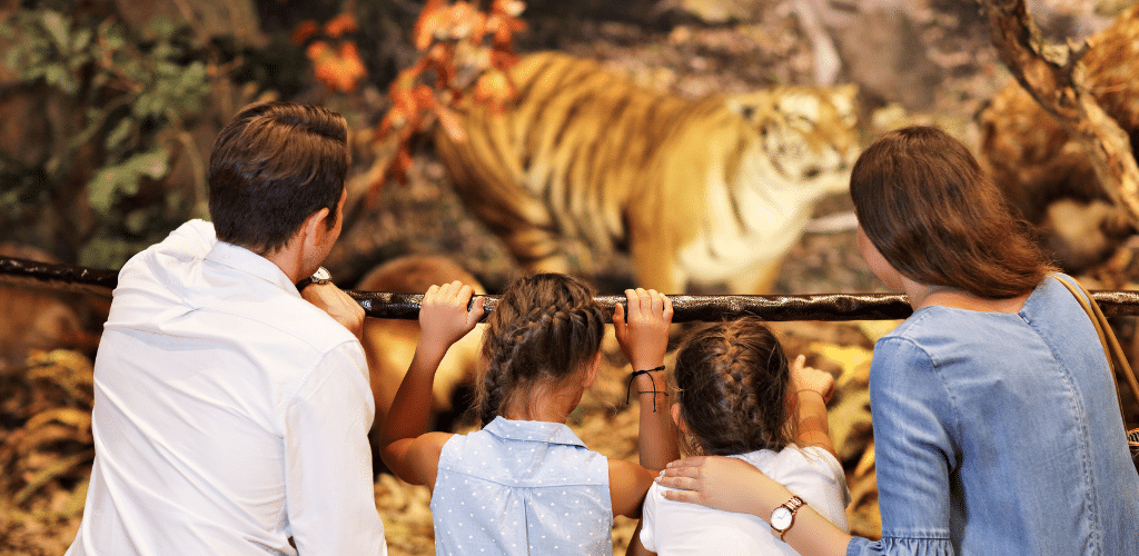 visita museo storia naturale